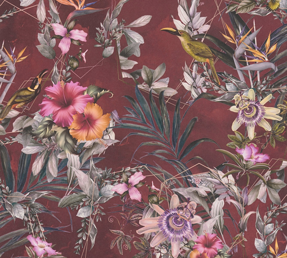 39-60 Tapeta 381785 Fizelinowa na Flizelinie Wielokolorowy kwiatowa | Dream Flowery - obrazek 1